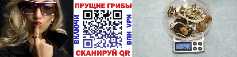 Галлюциногенные грибы Magic Shrooms  mega ТОР  Ладушкин 